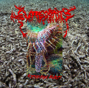Extinction Burst! , Guttersnipe