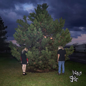 1000 Gecs , 100 gecs