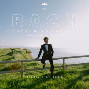 53 52'15.8 N 10 41'19.9E - Organ Landscapes , Jorg Halubek