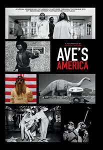 Ave's America