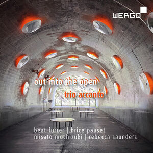 out into the open , Trio Accanto