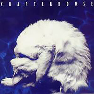 Whirlpool [Import] , Chapterhouse