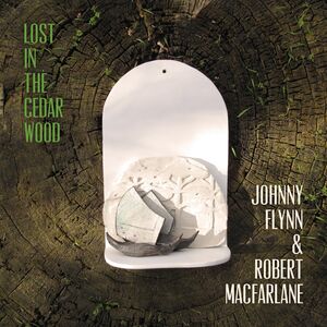 Lost In The Cedar Wood , Johnny Flynn