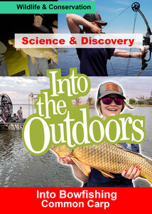 Into Bowfishing - Common Carp