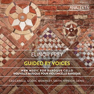 Guided By Voices , Elinor Frey