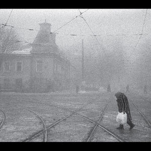 Perseverantia , Vadim Neselovskyi