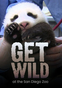 Get Wild