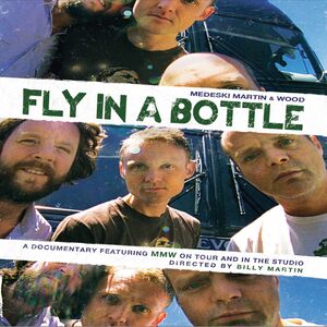 Fly in a Bottle , Medeski, Martin & Wood