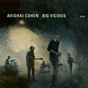 Big Vicious , Avishai Cohen