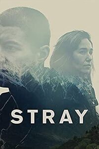 Stray