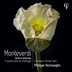 Il Quarto Libro de , Philippe Herreweghe