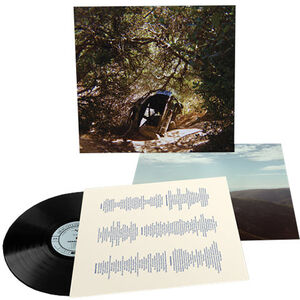 Possession , Ty Segall