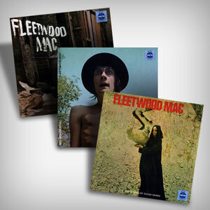 Fleetwood Mac Vinyl Bundle