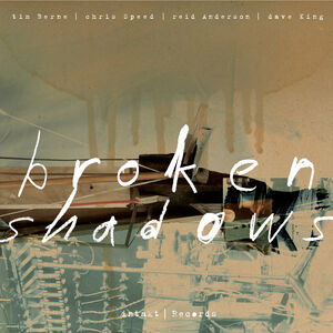 Broken Shadows , Tim Berne