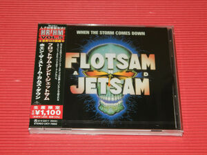 When The Storm Comes Down (Japanese Pressing) [Import]