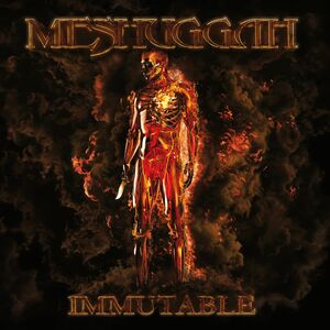 Immutable (Orange Colored Circle Black Vinyl)