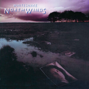 NorthWinds , Whitesnake