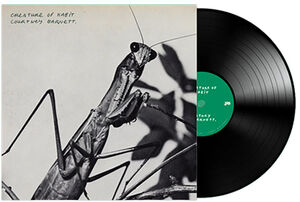 Creature of Habit , Courtney Barnett