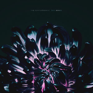 Our Bones , The Contortionist