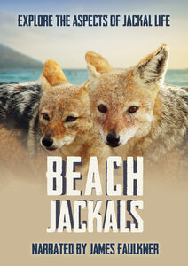 Beach Jackals