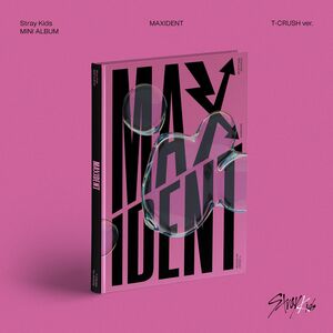 MAXIDENT (T-CRUSH Ver.) , Stray Kids