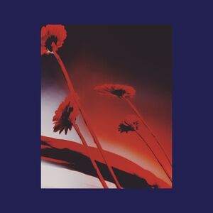 Nothing Ever Was: Compiled By DJ Sundae , Various Artists