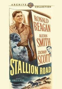 Stallion Road