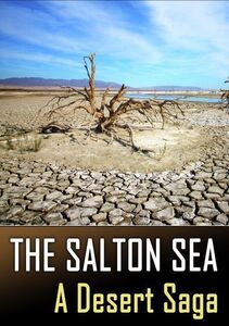 The Salton Sea: A Desert Saga