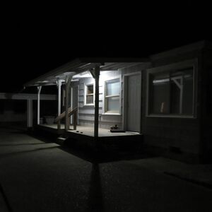 Birds Tricked Into The Trees [Import] , Damien Jurado