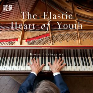 The Elastic Heart of Youth , Bruce Levingston