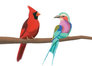 The Cardinal and the Roller , Missouri State University Chorale