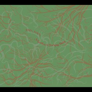 A Garden of Forking Paths , John Zorn