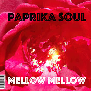 Mellow Mellow /  Too Much Love Makin'