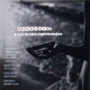 Brazen Heart Live at Jazz Standard - Complete , Dave Douglas