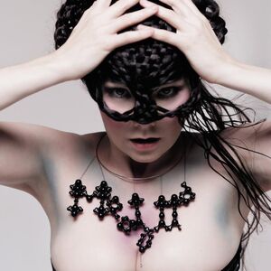 Medulla , Bjork