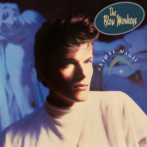Animal Magic , The Blow Monkeys
