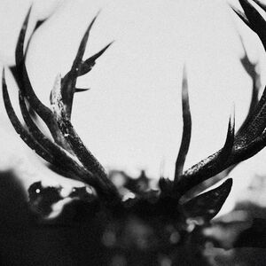 IHSAHN , Ihsahn