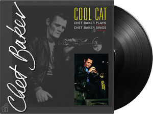 Cool Cat