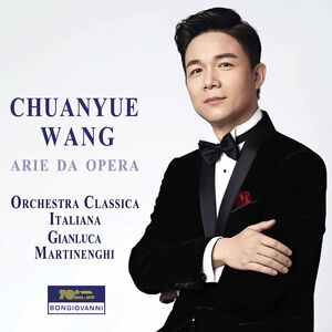 Arie Da Opera , Various Artists