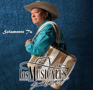 Solamente Tu , David Lee Garza