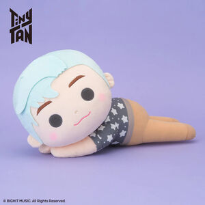 SEGA - BTS - Tinytan Dreamy Mej Doll - Dynamite RM Plush