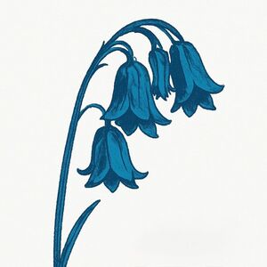 This Is The Bluebells - Glade Green Vinyl [Import] , The Bluebells