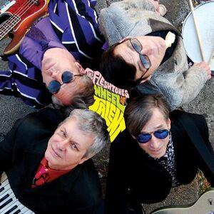 Wheel of Talent , The Fleshtones