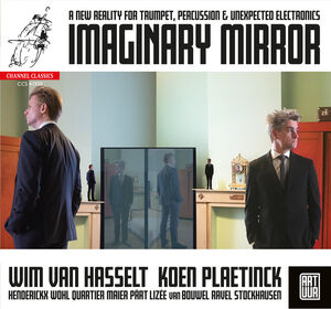 Imaginary Mirror , Koen Plaetinck