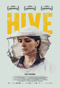 Hive 