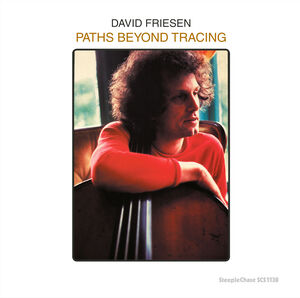 Paths Beyond Tracing , David Friesen