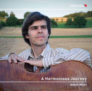 A Harmonious Journey , Adam Mital