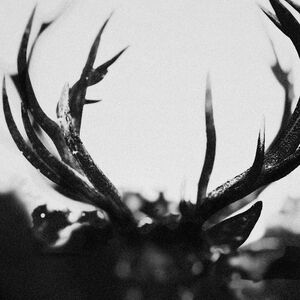IHSAHN - Black Yolk , Ihsahn