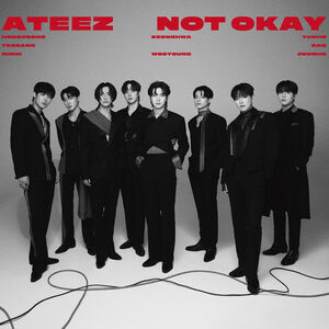 Not Okay (Limited Edition B)