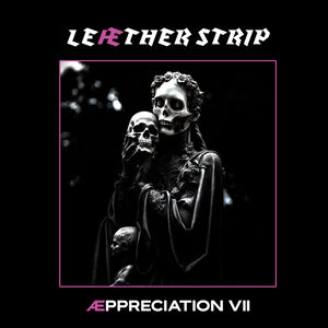 Appreciation VII , Leather Strip